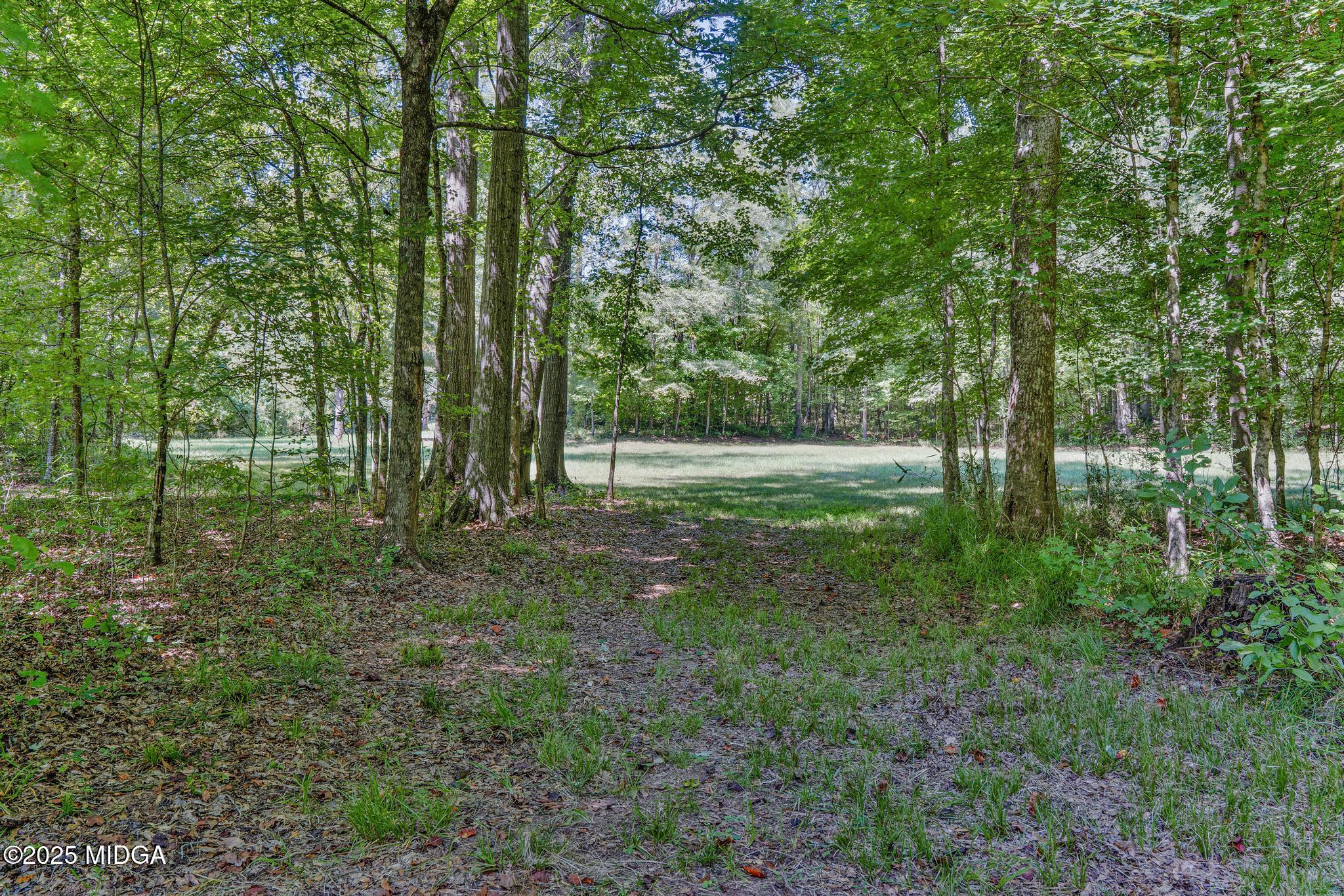 369 Abares Road Forsyth, GA 31029 - Photo 48 of 55 DSC09887