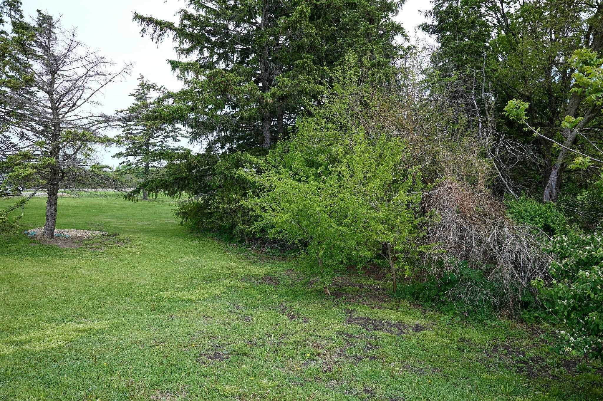 0 South Sycamore Street Cedar Point, IL 61316 - Photo 7 of 9