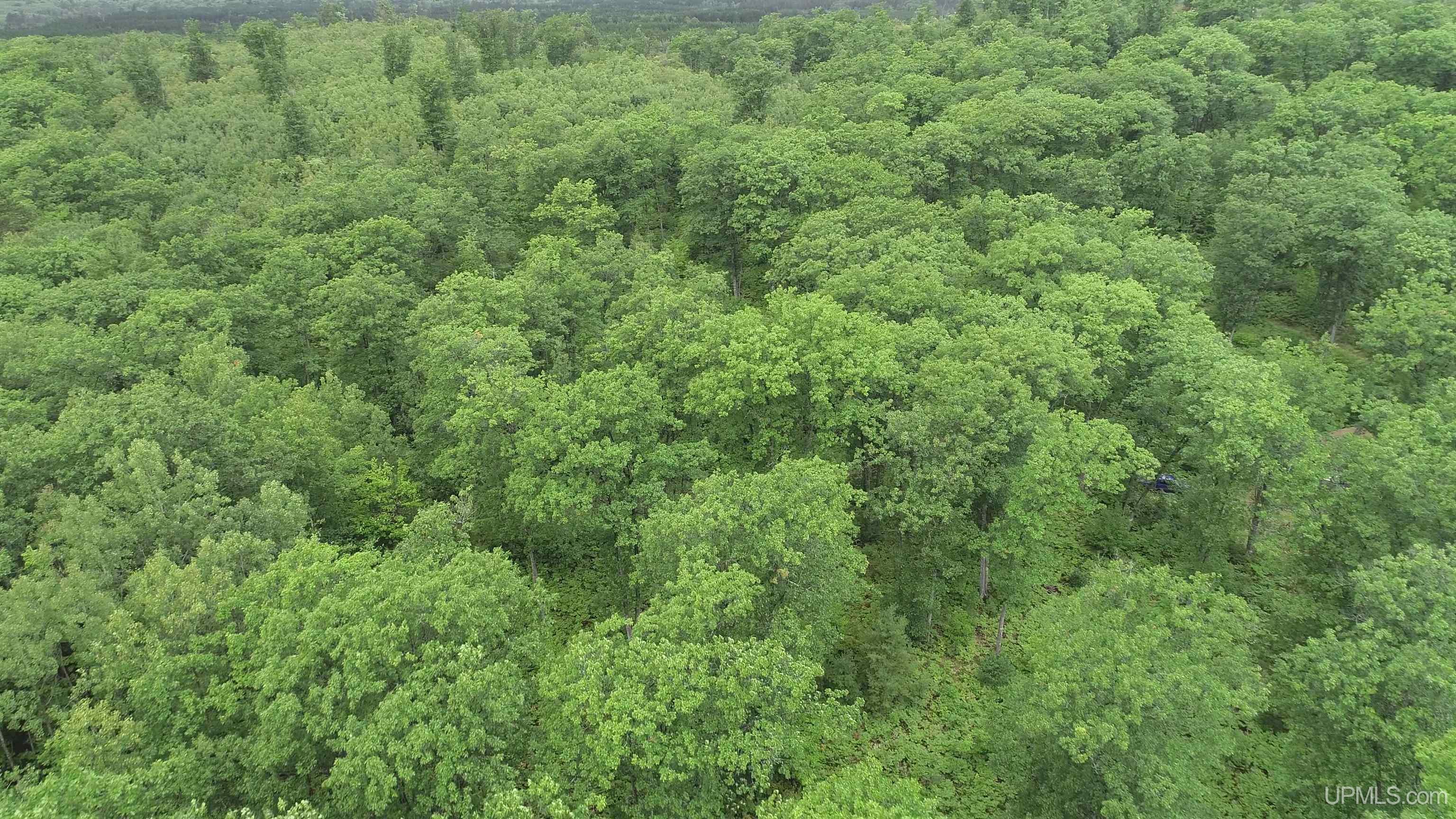 565 County Road 565 Road Gwinn, MI 49841 - Photo 33 of 35