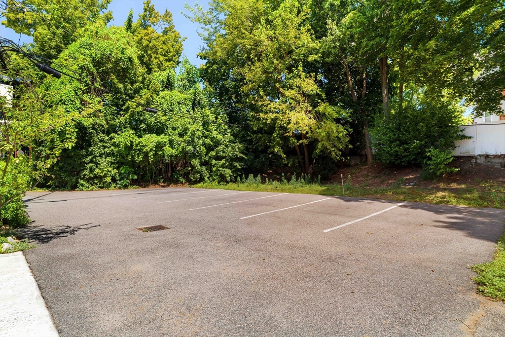 24 Goldsmith Street, Unit 24 Boston, MA 02130 - Photo 22 of 23 a view of a yard with plants and trees