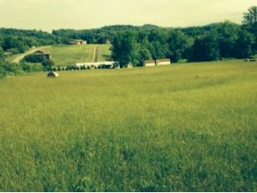 321 Sand Bar Road Bristol, TN 37620 - Photo 5 of 5 Photo 5