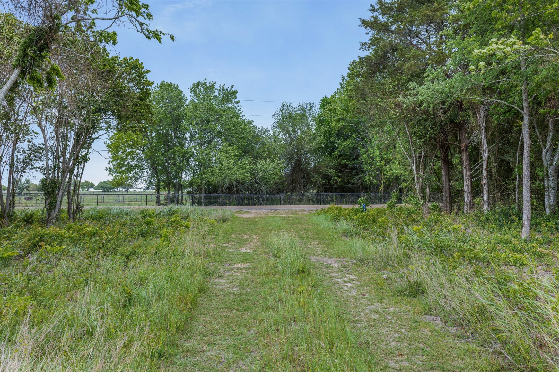 Tbd Bauer Rummel Road Round Top, TX 78954 - Photo 5 of 30