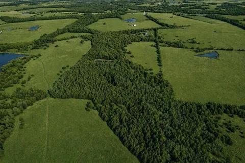 $815,000 | 2800 County Road 2905, Dodd City, TX 75438