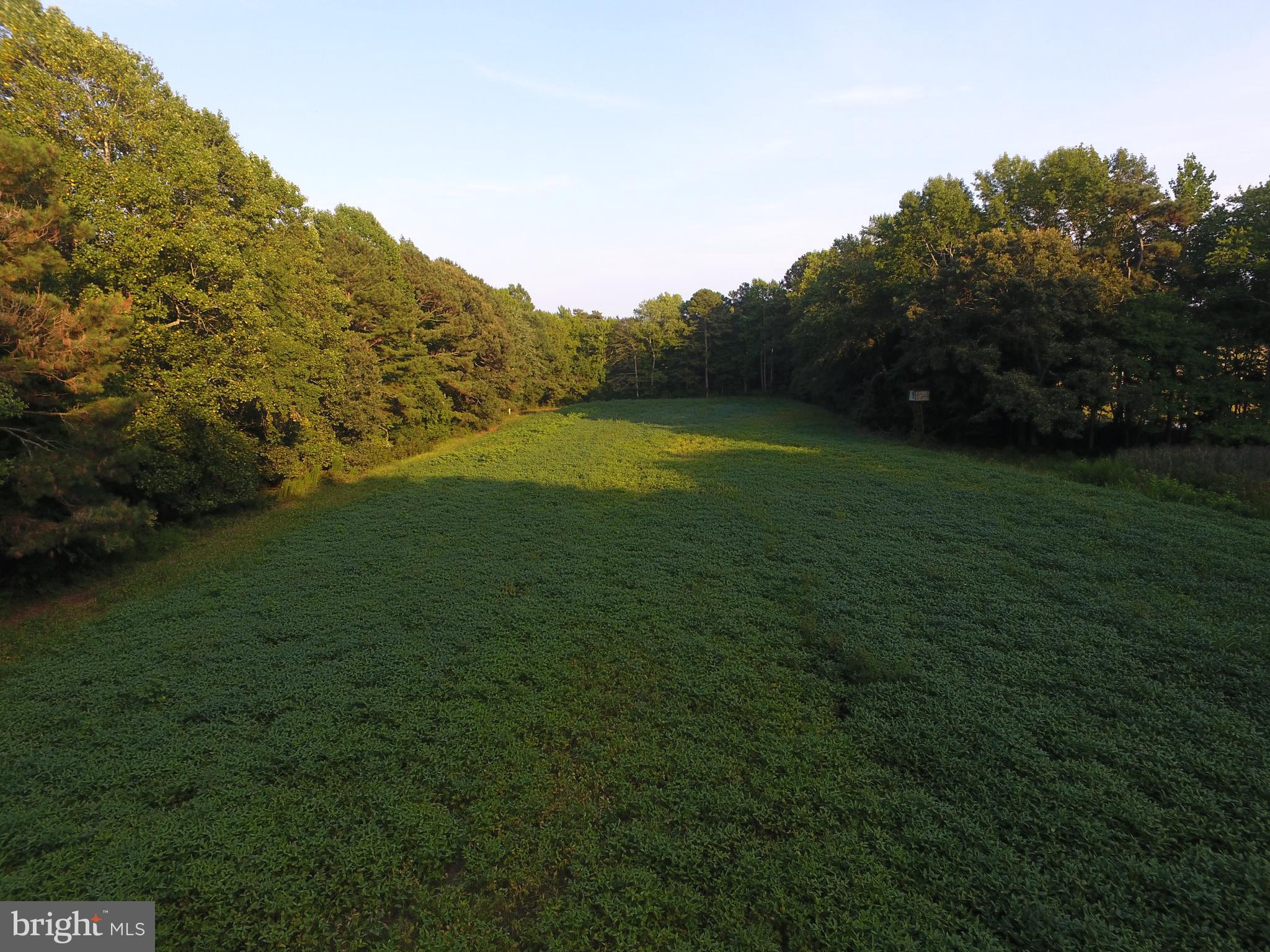 Bowden Road Newark, MD 21841 - Photo 13 of 15 a view of a field with an ocean