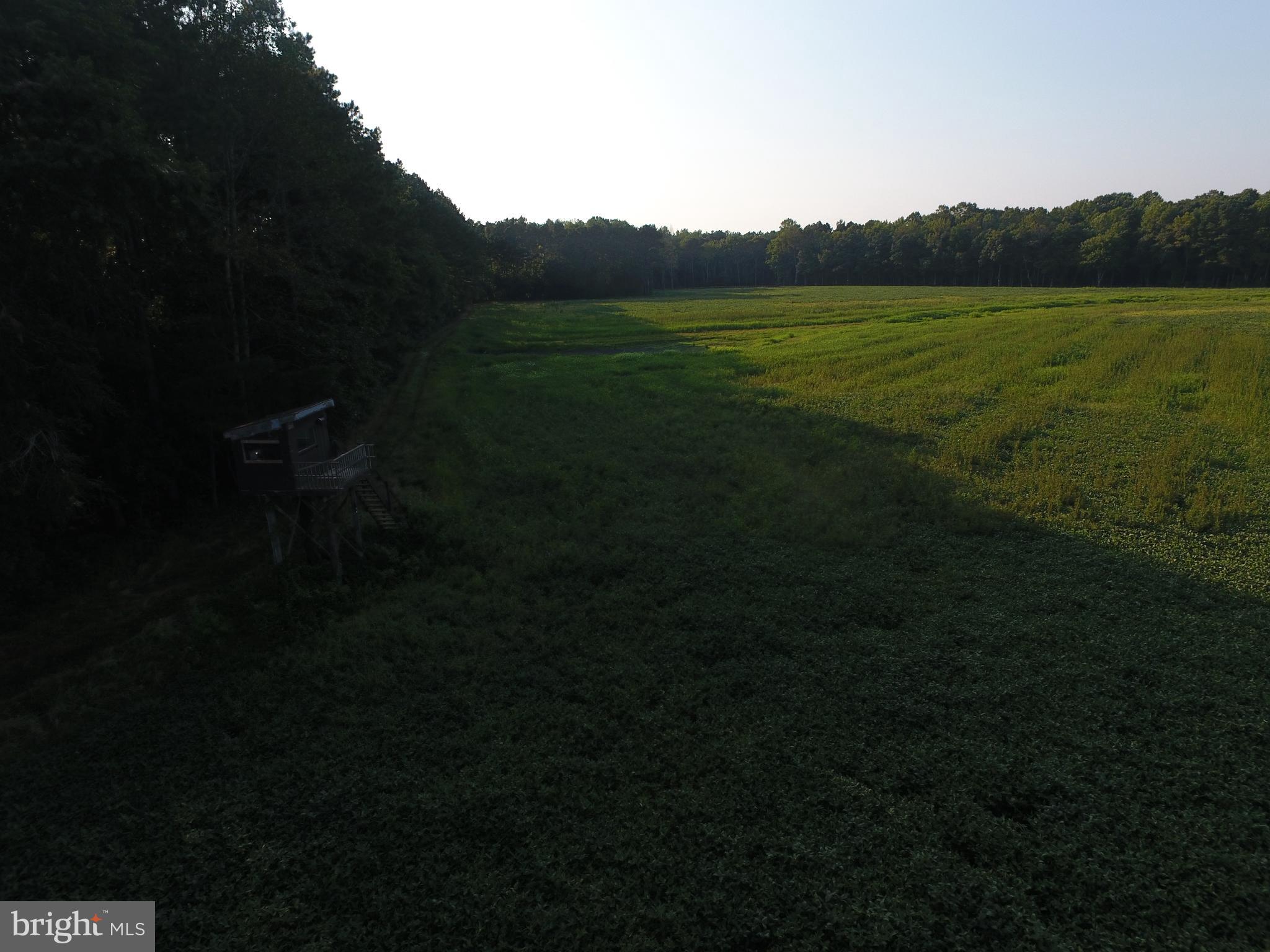 Bowden Road Newark, MD 21841 - Photo 5 of 15 a view of a lake in middle of the house