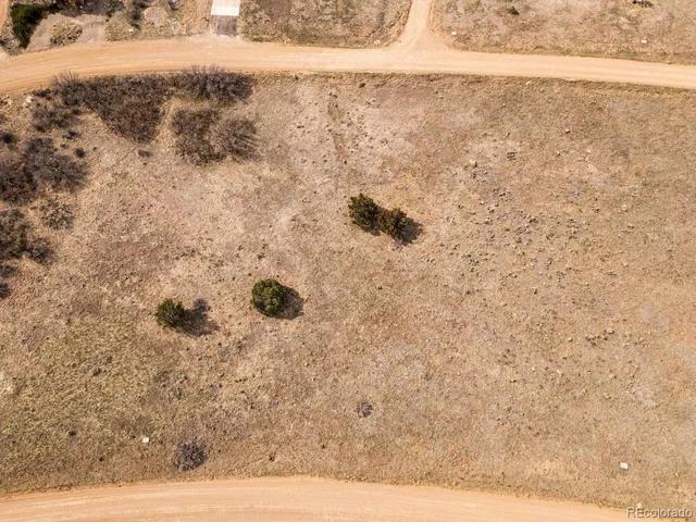 a view of a dry yard