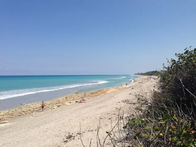 a view of a lake with a yard