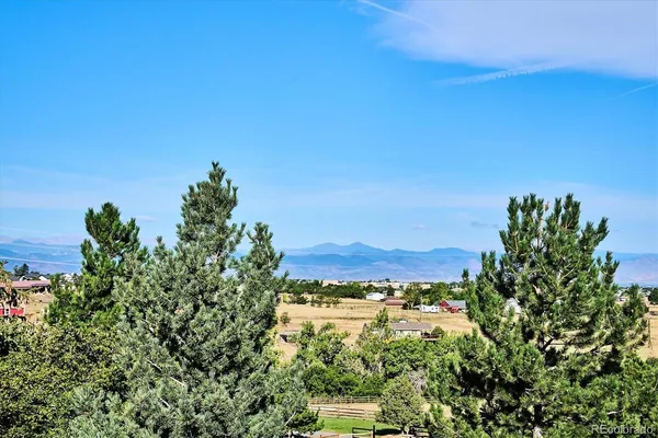 $4,500,000 | 10378 Grande Vista Court, Lone Tree, CO 80124