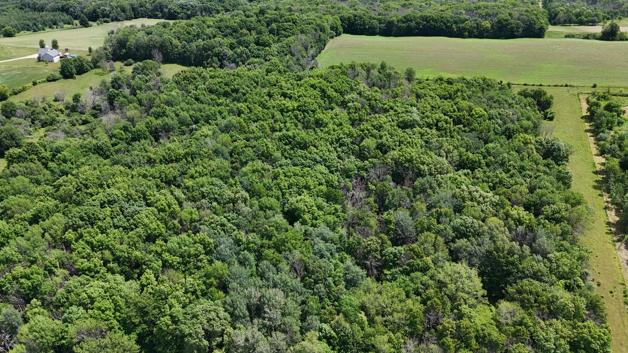 Tbd Tbd 230th Baldwin, WI 54002 - Photo 34 of 56
