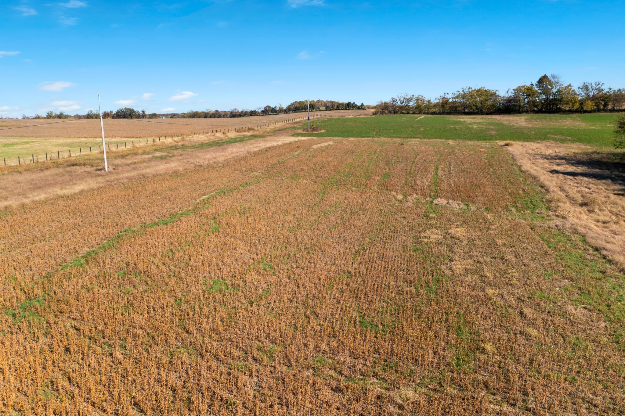 2641 Battle Creek Road Springfield, TN 37172 - Photo 35 of 48