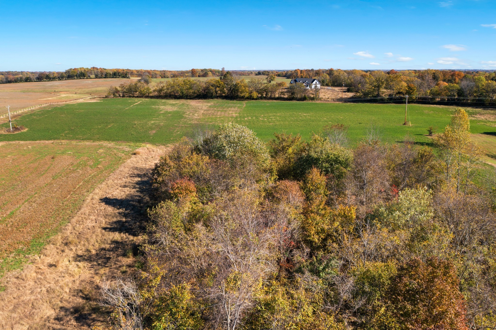 2641 Battle Creek Road Springfield, TN 37172 - Photo 44 of 48