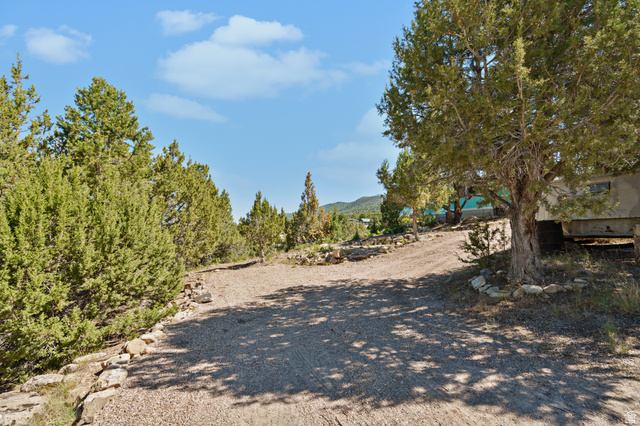 12615 Cedar Ridge Drive, Unit C41 Fairview, UT 84629 - Photo 11 of 32 View of yard