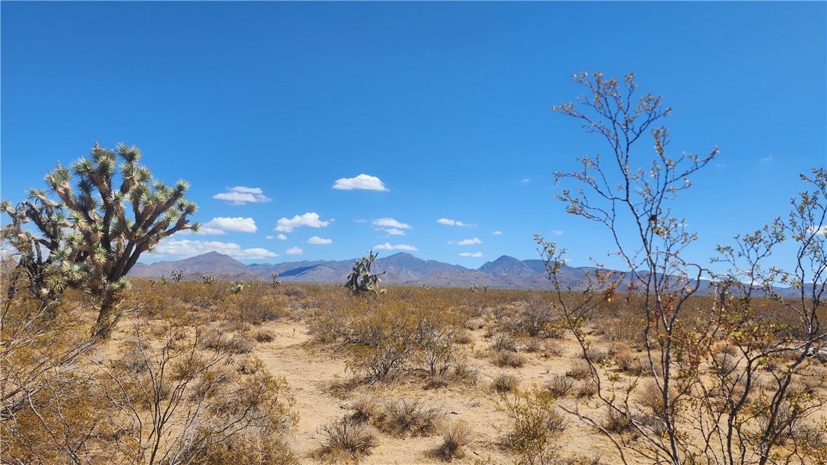 287 South Diamondback Road Yucca, AZ 86438 - Photo 2 of 9 Gallery Image 2