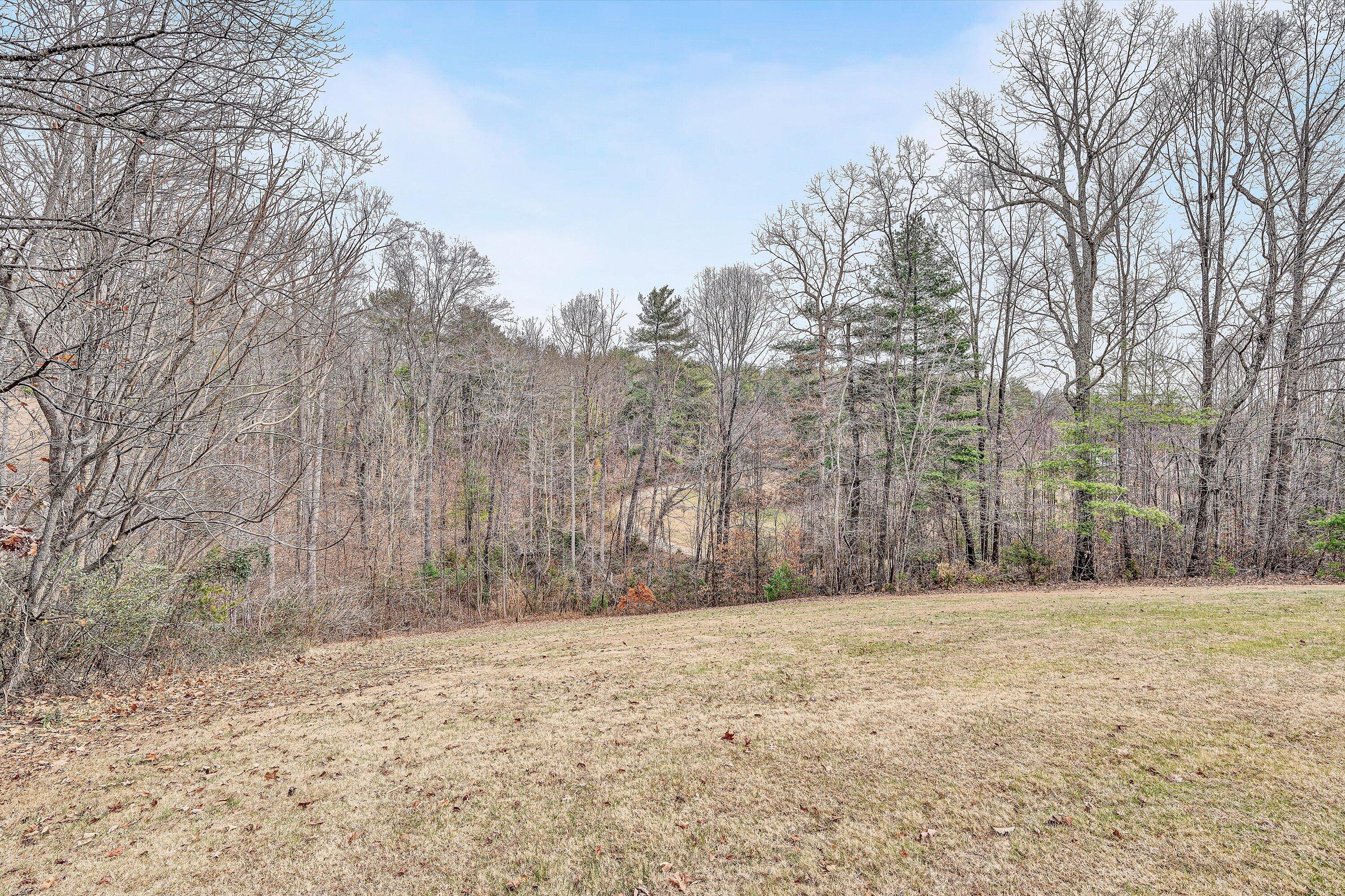 1180 Bonbrook Mill Road Rocky Mount, VA 24151 - Photo 36 of 39 Back Yard