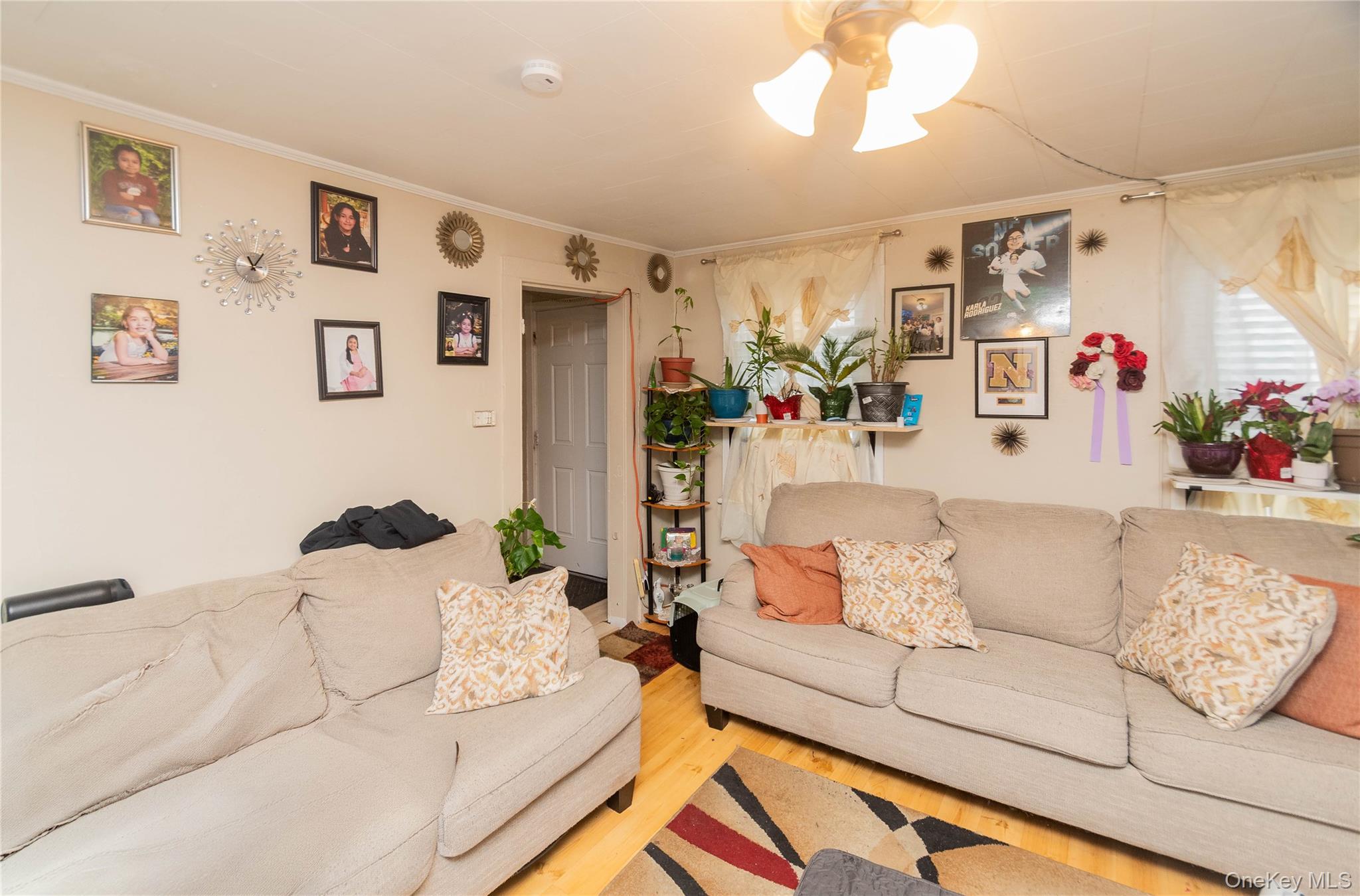 46 Hasbrouck Street Newburgh, NY 12550 - Photo 5 of 26 a living room with furniture and a couch
