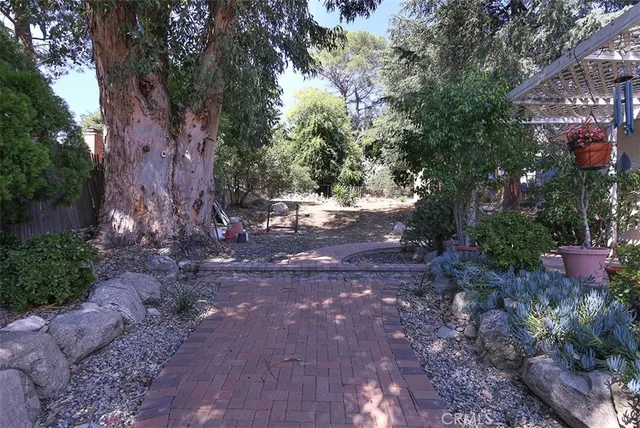 a view of a backyard with large trees and wooden fence
