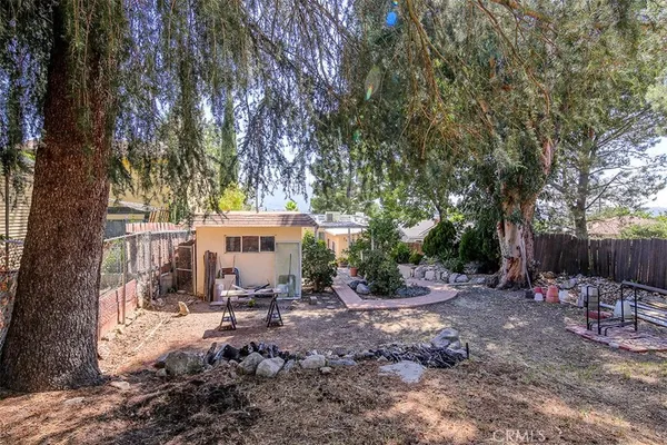 a view of backyard with wooden fence and a large tree