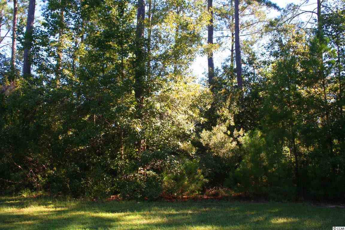 Lot 124 Caleb Court Murrells Inlet, SC 29576 - Photo 1 of 25
