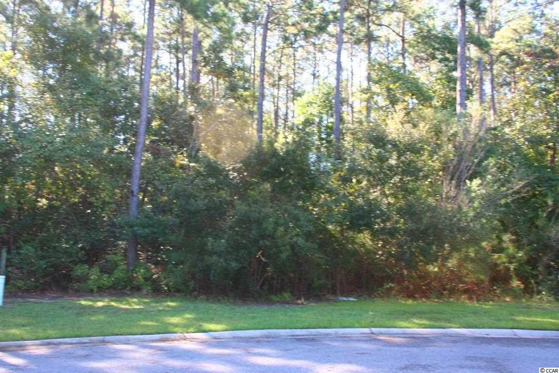 Lot 124 Caleb Court Murrells Inlet, SC 29576 - Photo 2 of 25