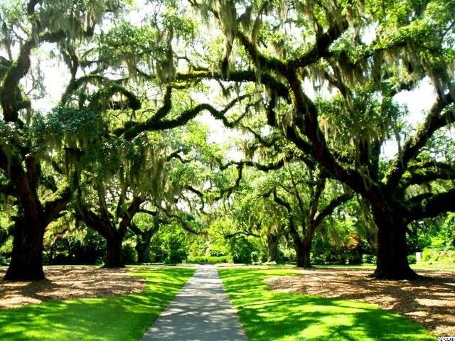 Lot 124 Caleb Court Murrells Inlet, SC 29576 - Photo 13 of 25