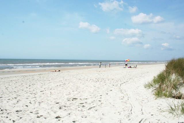 Lot 124 Caleb Court Murrells Inlet, SC 29576 - Photo 20 of 25