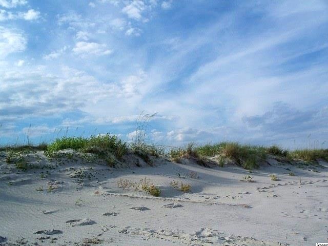 Lot 124 Caleb Court Murrells Inlet, SC 29576 - Photo 21 of 25