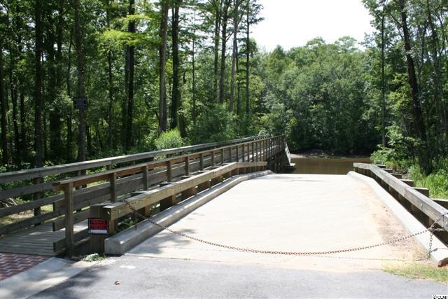 Lot 124 Caleb Court Murrells Inlet, SC 29576 - Photo 4 of 25