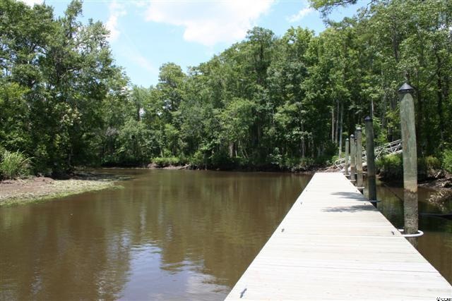 Lot 124 Caleb Court Murrells Inlet, SC 29576 - Photo 5 of 25