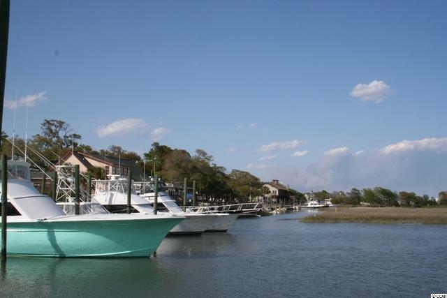 Lot 124 Caleb Court Murrells Inlet, SC 29576 - Photo 7 of 25