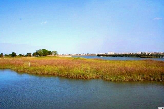 Lot 124 Caleb Court Murrells Inlet, SC 29576 - Photo 8 of 25