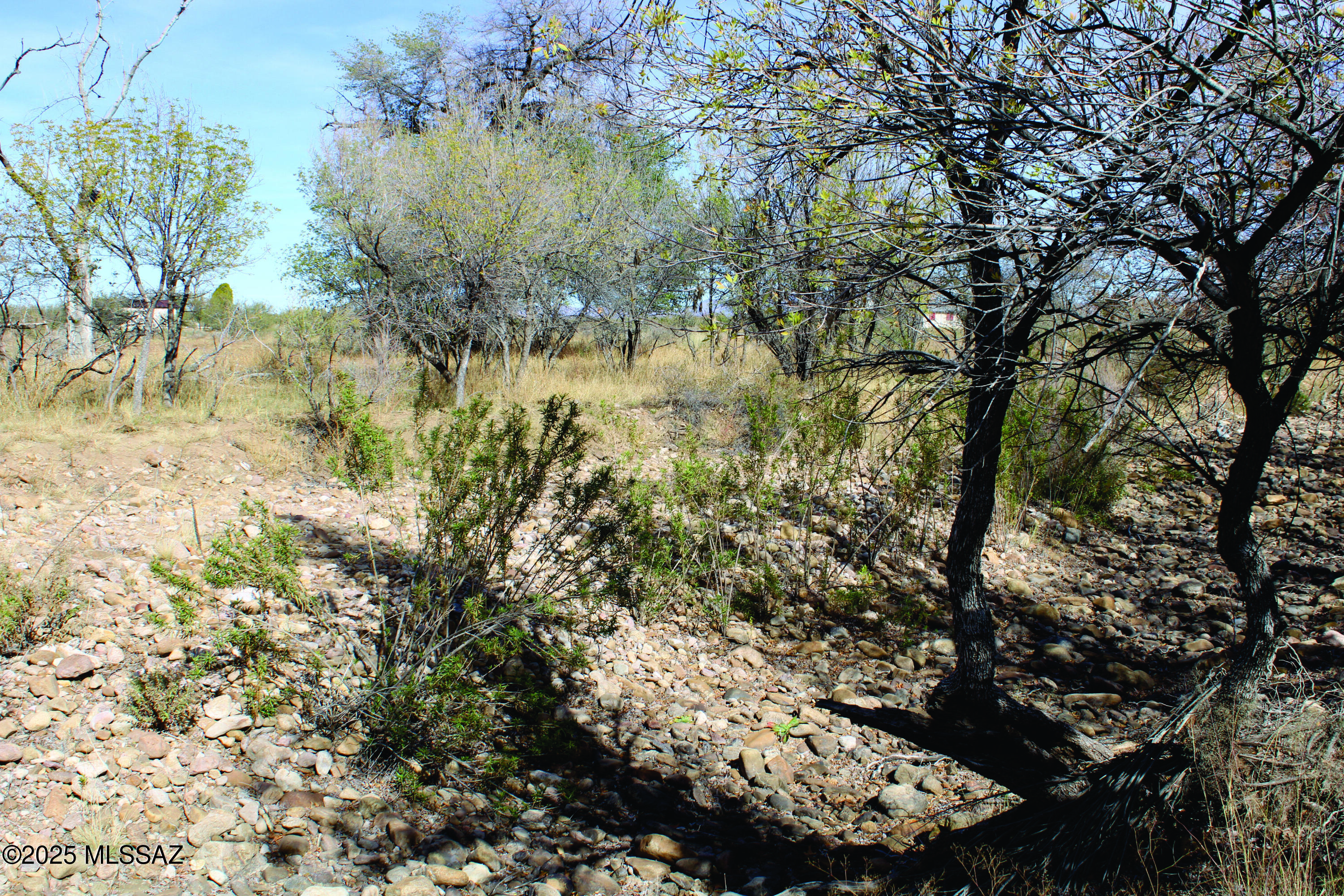 10-acres East Roadrunner Road, Unit E Pearce, AZ 85625 - Photo 25 of 29 a view of a tree in a yard