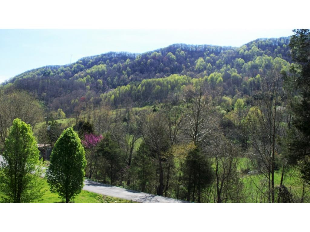 655 Kane Gap Road Duffield, VA 24244 - Photo 4 of 8 Photo 4