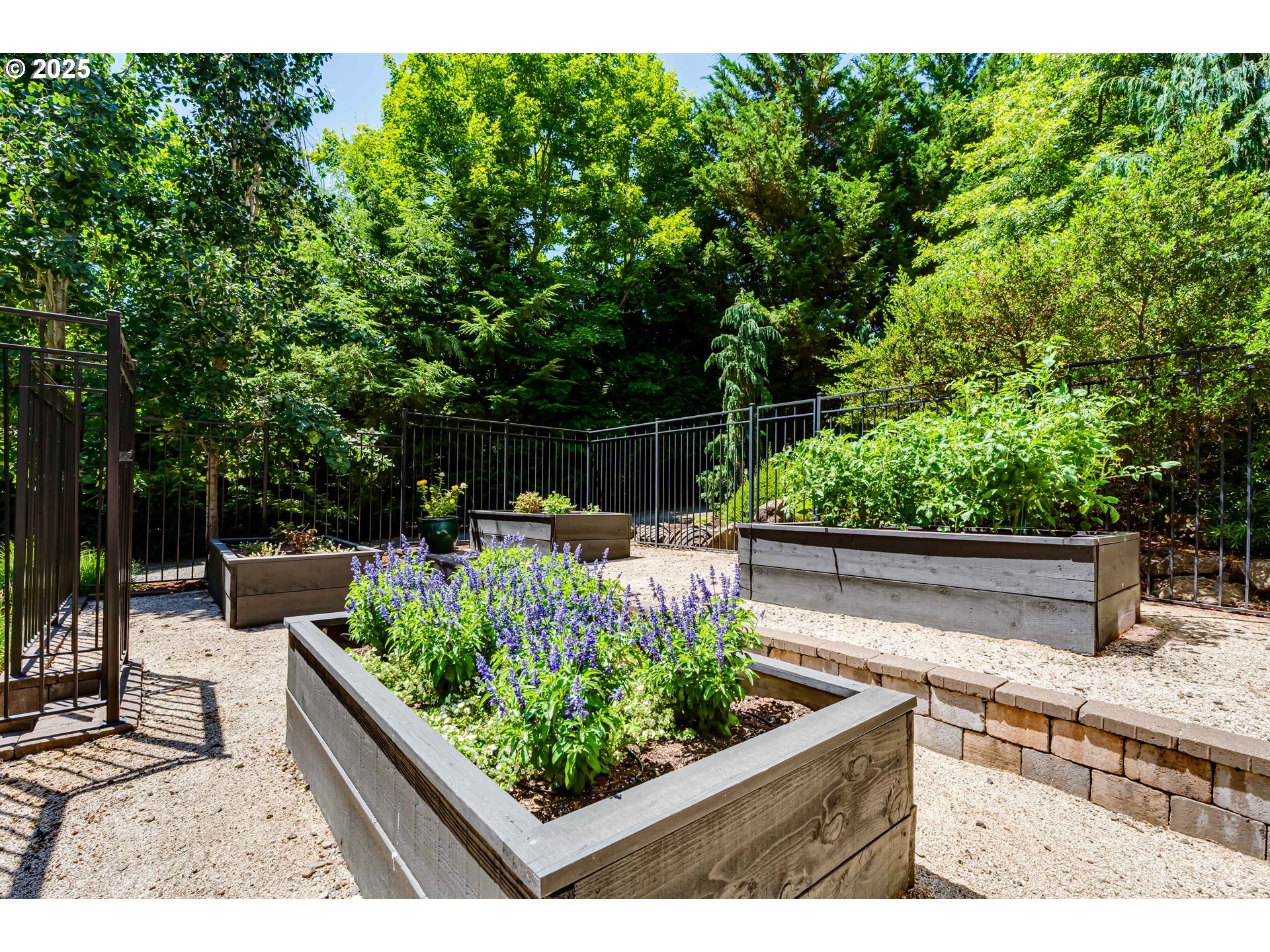 3944 Los Altos Lane Eugene, OR 97405 - Photo 37 of 47 a view of a garden with plants