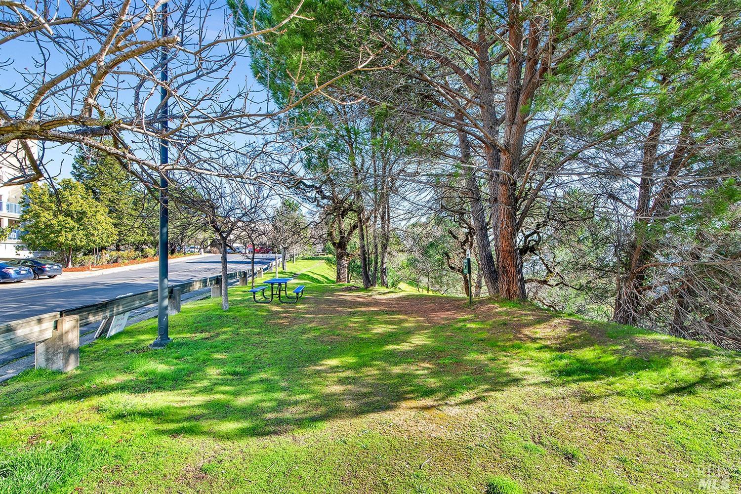 100 Thorndale Drive, Unit 303 San Rafael, CA 94903 - Photo 27 of 32 a view of a yard with a tree