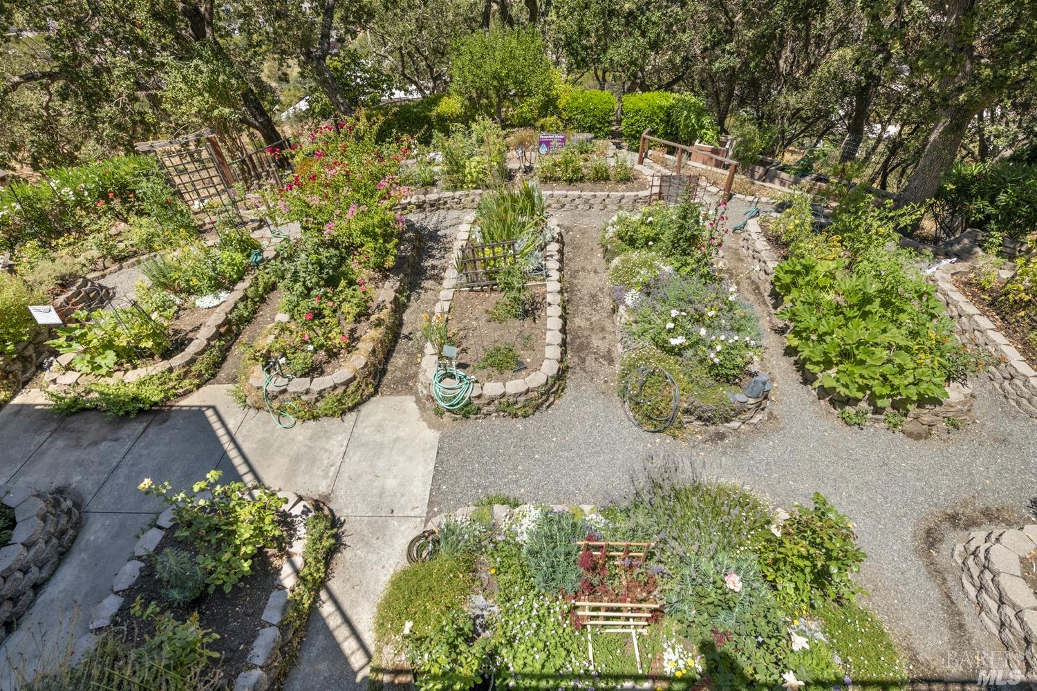 100 Thorndale Drive, Unit 303 San Rafael, CA 94903 - Photo 28 of 32 an aerial view of a house with a yard and a large tree