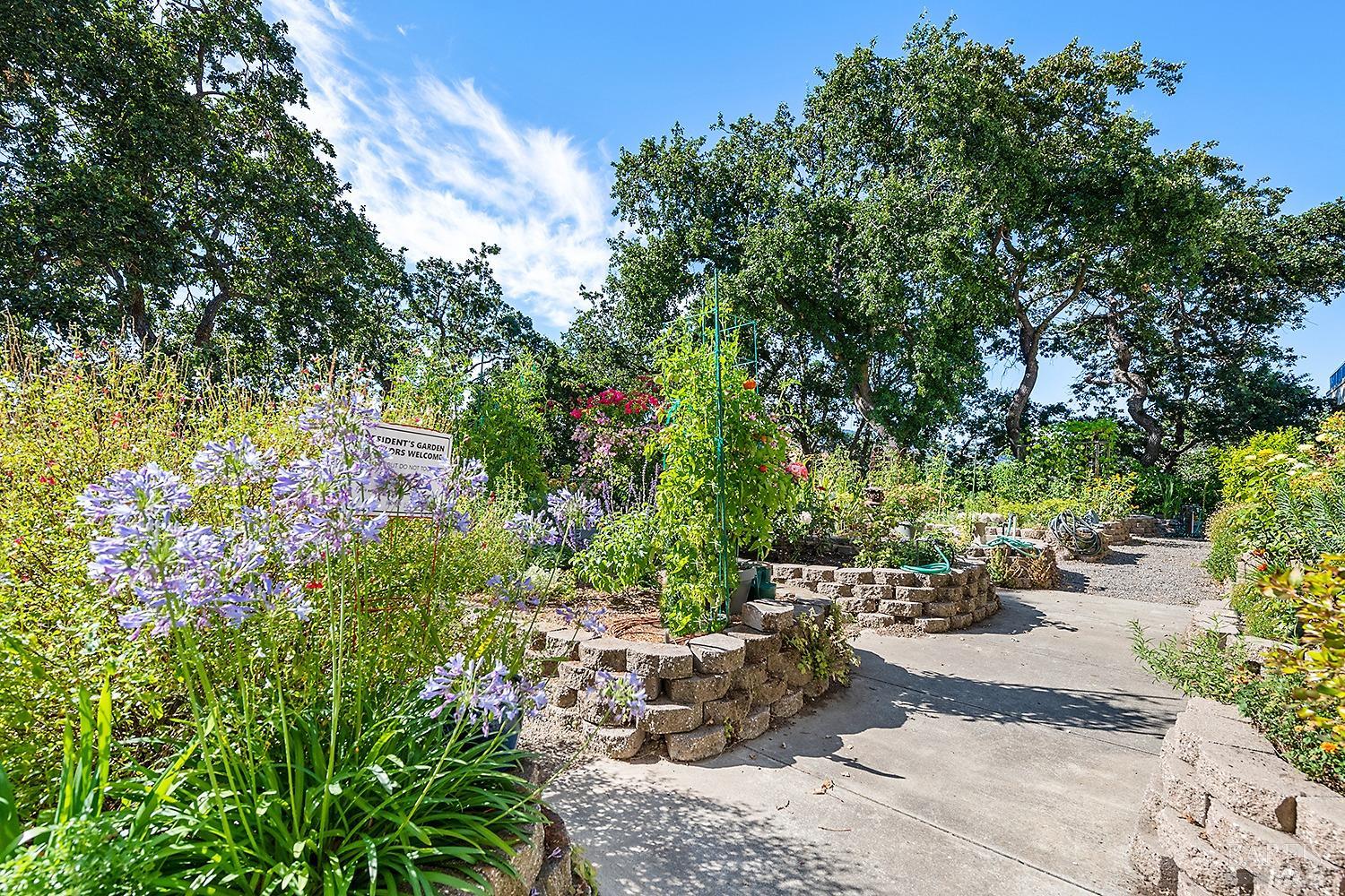 100 Thorndale Drive, Unit 303 San Rafael, CA 94903 - Photo 29 of 32 a view of a backyard of the house
