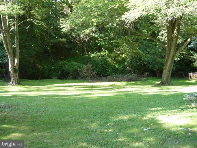 1024 Tanley Road Silver Spring, MD 20904 - Photo 24 of 30 Back yard