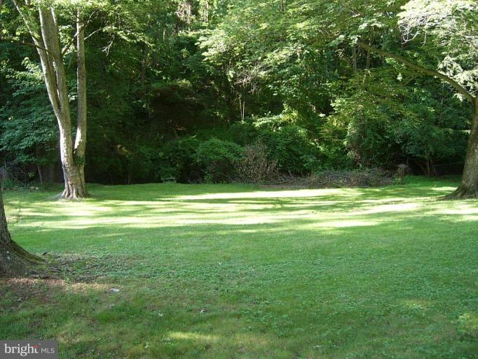 1024 Tanley Road Silver Spring, MD 20904 - Photo 25 of 30 Back Yard #2 (backs to parkland)