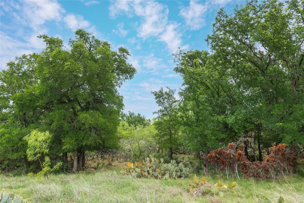 143 Rr 10 Voss, TX 76888 - Photo 17 of 39