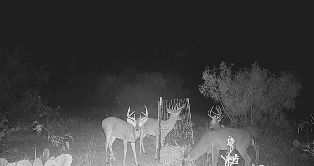 143 Rr 10 Voss, TX 76888 - Photo 21 of 39