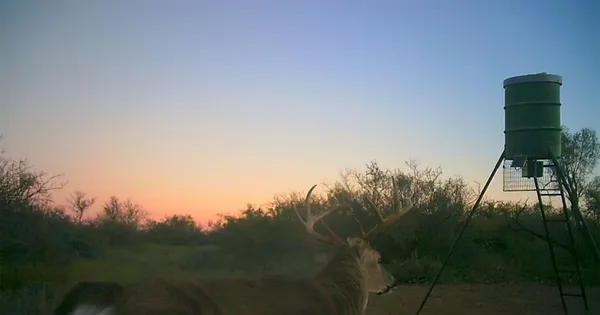 $876,000 | 143 Rr 10, Voss, TX 76888