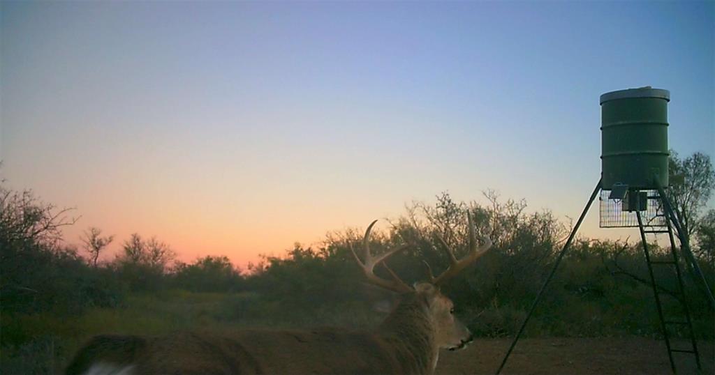 143 Rr 10 Voss, TX 76888 - Photo 23 of 39