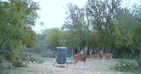 $876,000 | 143 Rr 10, Voss, TX 76888