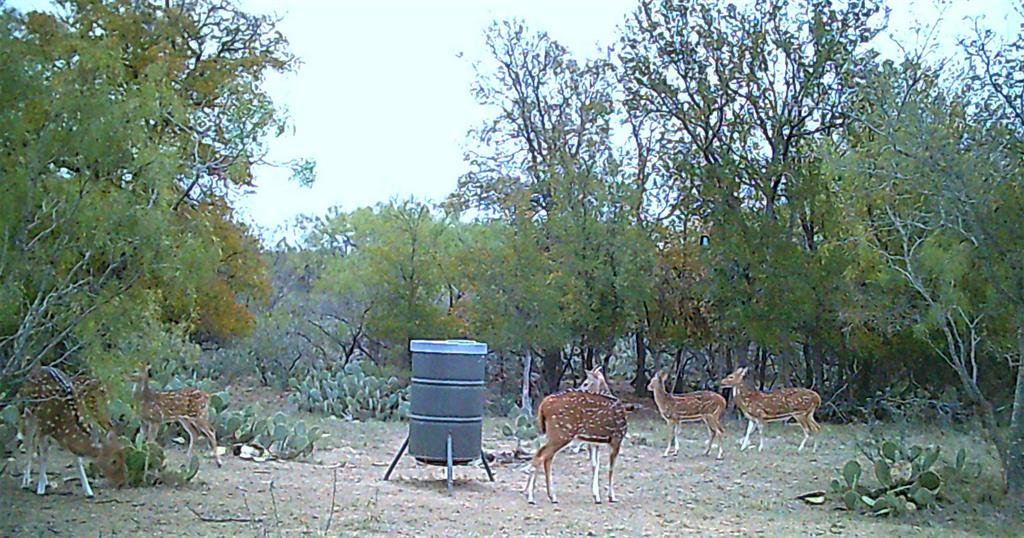 143 Rr 10 Voss, TX 76888 - Photo 24 of 39