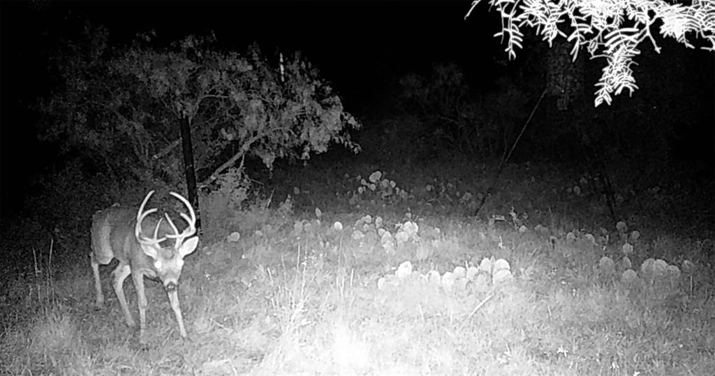 143 Rr 10 Voss, TX 76888 - Photo 25 of 39