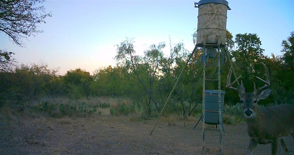 143 Rr 10 Voss, TX 76888 - Photo 26 of 39