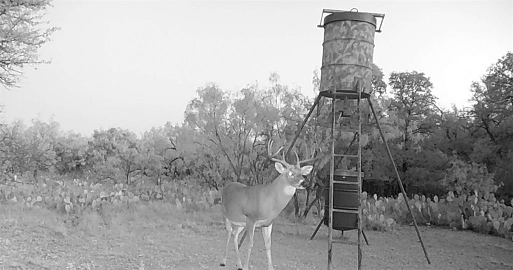 143 Rr 10 Voss, TX 76888 - Photo 27 of 39