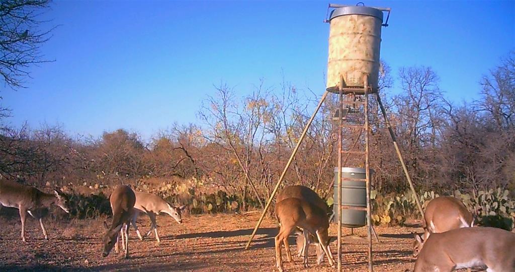 143 Rr 10 Voss, TX 76888 - Photo 28 of 39