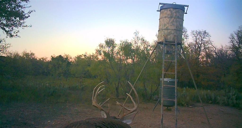 143 Rr 10 Voss, TX 76888 - Photo 30 of 39