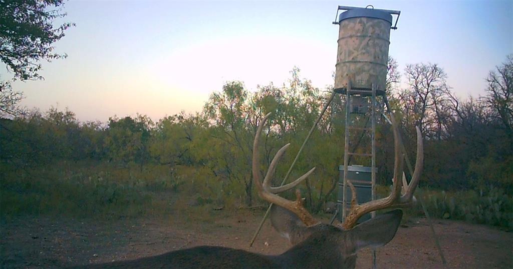 143 Rr 10 Voss, TX 76888 - Photo 31 of 39